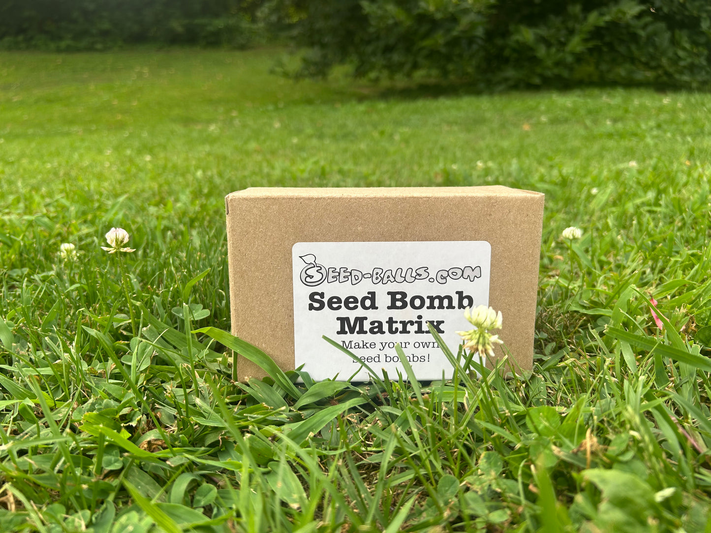 Matrix Mud – All-Natural Soil Binder for Seed Balls & Gardening Projects 500grams