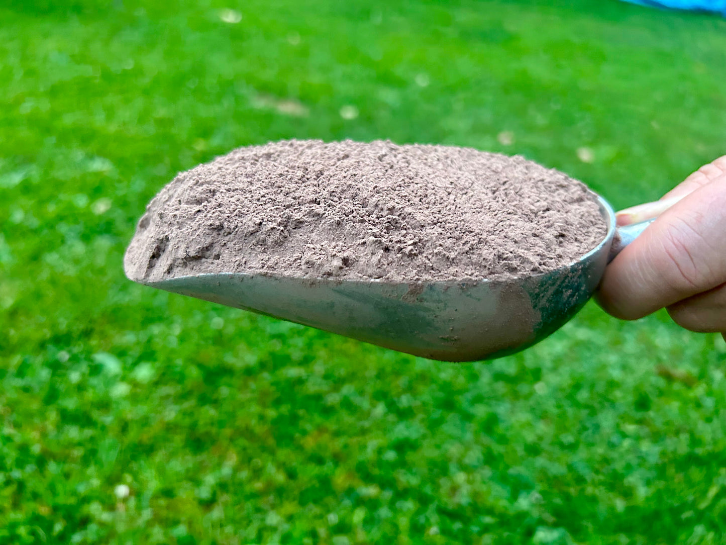 Natural Red Clay Powder for Seed Balls & Eco Crafts 1000grams