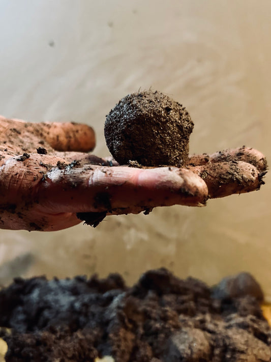 Matrix Mud – All-Natural Soil Binder for Seed Balls & Gardening Projects 1000grams